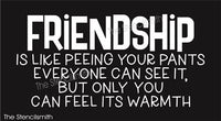 9244 Friendship is like peeing your pants stencil - The Stencilsmith