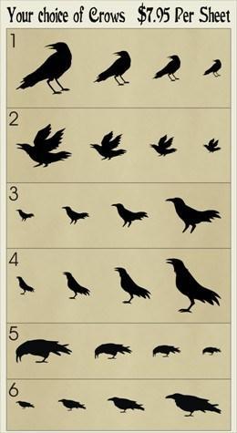 756 - Crows - The Stencilsmith