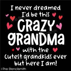 6760 - I never dreamed I'd be this crazy grandma - The Stencilsmith