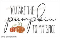 6981 - You are the pumpkin to my spice - The Stencilsmith